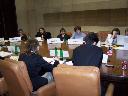 Jedn�n� v Rad� bezpe�nosti na konferenci v Kongresov�m centru Praha